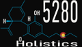 5280Holistics Logo