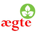 Aegte Logo