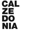 Calzedonia AT Logo