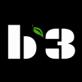 B3 Logo