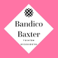 Bandicobaxter Logo