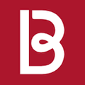 BERLEI Logo