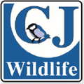 Bird Food Logo