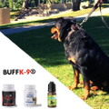 BuffK-9 Supplements Logo