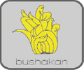 Bushakan Logo