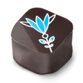 Chocolat Celeste Logo