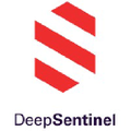 Deep Sentinel Logo