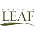 Eastern Leaf Logo