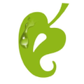 Edenfantasys Logo
