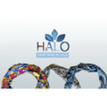 Halo2go Logo