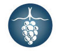 Hamptons Wine Shoppe Logo