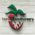 handpickednursery Logo