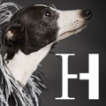 Harriott & Hound Logo