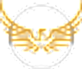 iconicformulations Logo