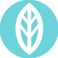 Mint Wellness Logo