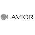 LAVIOR IT Logo