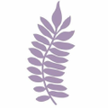 Jacaranda Books Logo