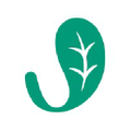 Jade Leaf Matcha Logo