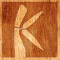 Kahoy Kollection Logo