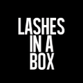 LASHES IN A BOX Logo