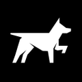 MagDog Logo