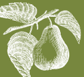 Manhattan Fruitier Logo