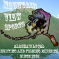 Mountain View Sports Logo