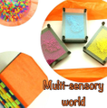 Multi-Sensory World Logo