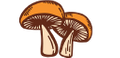 Pan's Mushroom Jerky Logo