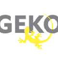 My GEKO Gear Logo