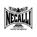 Necalli Boxing Logo