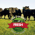 New Zealand Fresh Logo