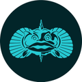 Toad Fish Logo