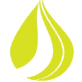 nopcoils Logo