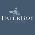 Paper Boy Wallpaper Logo