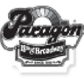 Paragon Sports Logo