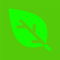 Purematcha Logo