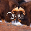 Qiviuk Boutique Logo