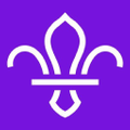 Scouts Logo