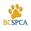 BC SPCA Logo