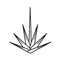 YUCCA Logo