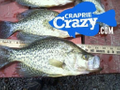 Crappie Crazy.com Logo