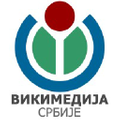 Wikipedia Store Logo