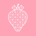 Strawberrynet Logo