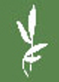 Pinetree Garden Seeds Logo