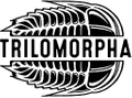 TRILOMORPHA Logo