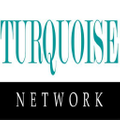 Turquoise Network Logo