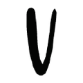 VaskiaJewelry Logo