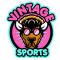 Vintage Buffalo Sports Logo