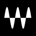 Waves Audio Logo